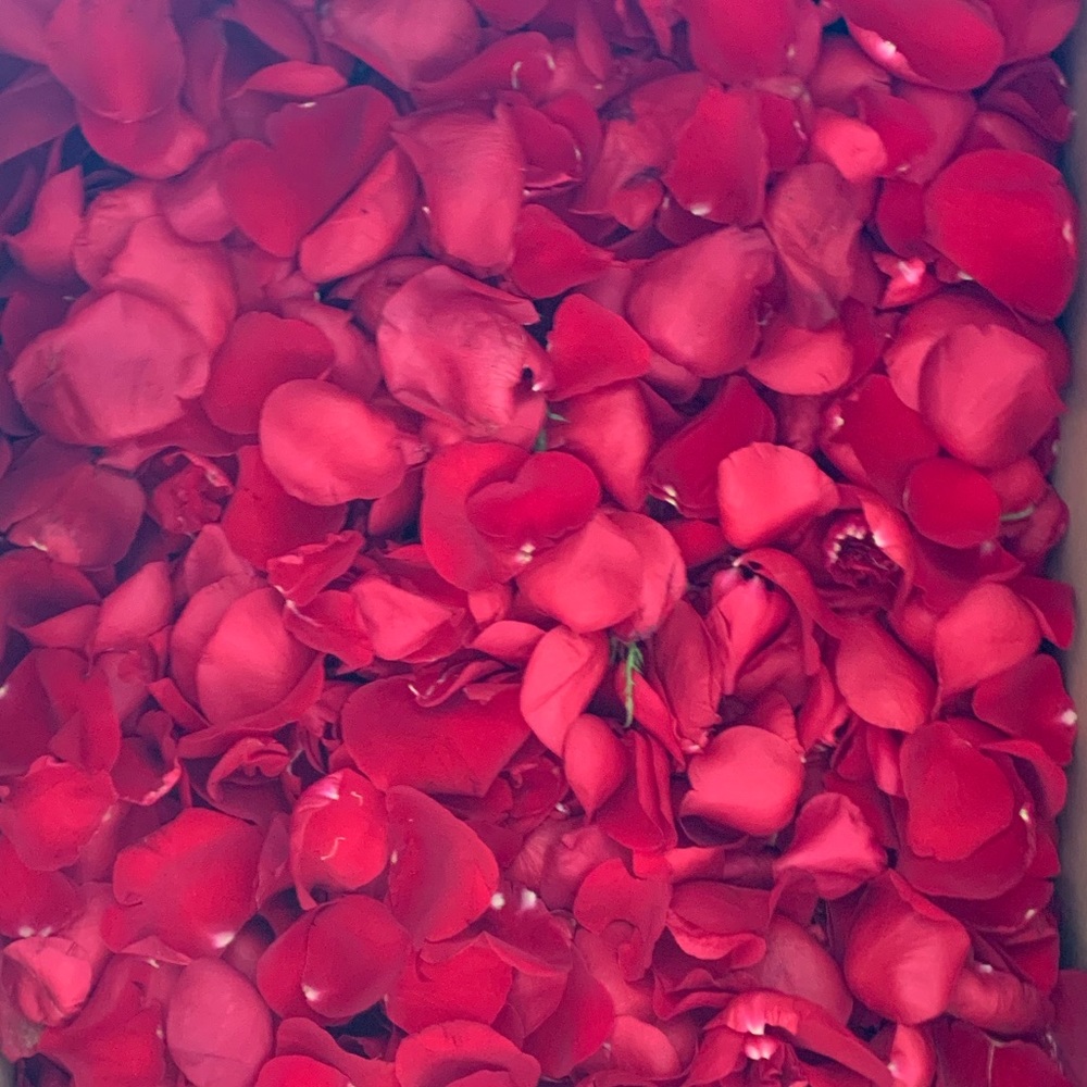 Meet your Posher, Dana